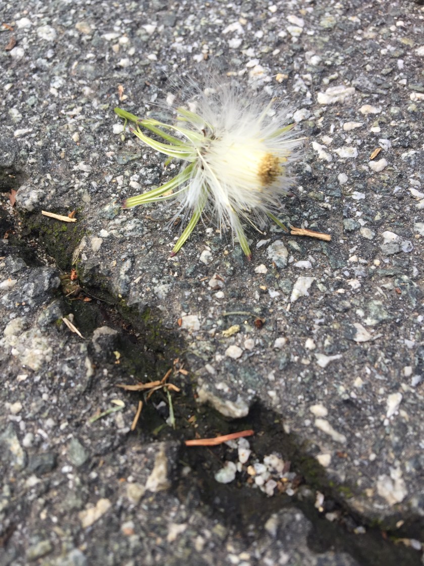 FD6F1013-BA95-4502-ABC5-50DEA6D846E8