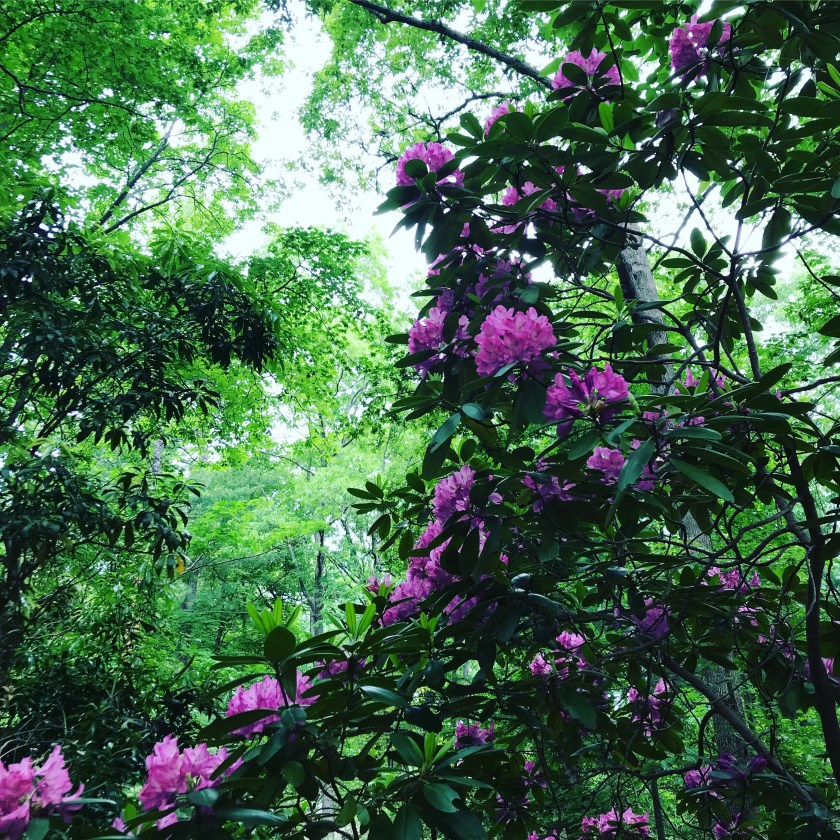 629DED30-5231-4138-81C0-05336F2E9778