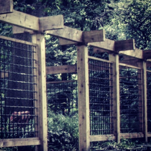 1CE1B836-38F2-4DA5-B3AB-795244FE683D