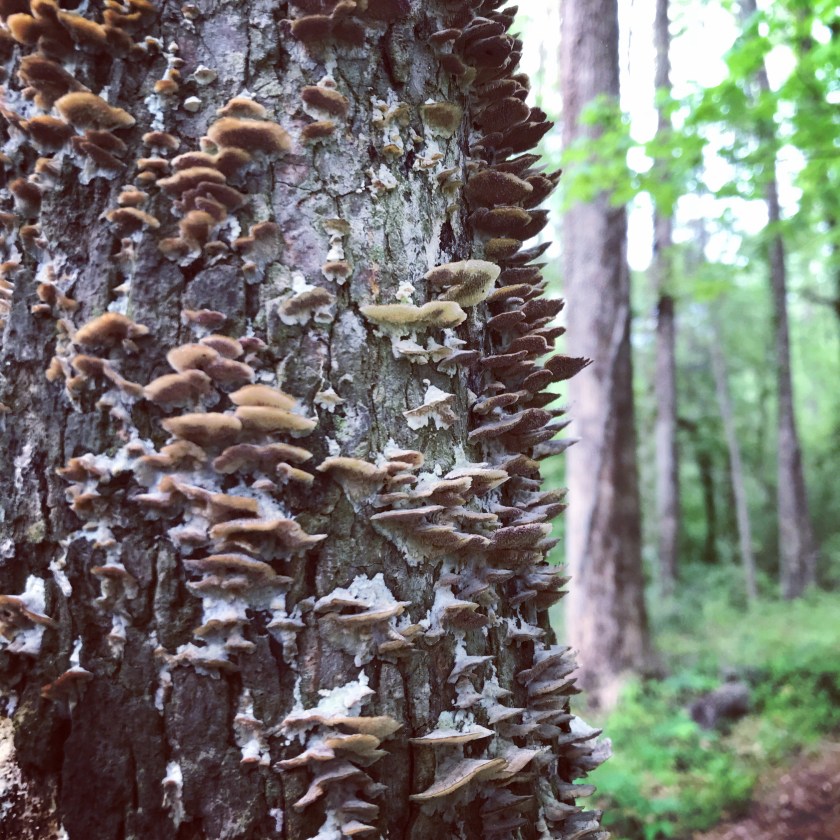 1D9AF4CD-84DA-4B57-AF98-B22AF9534D69