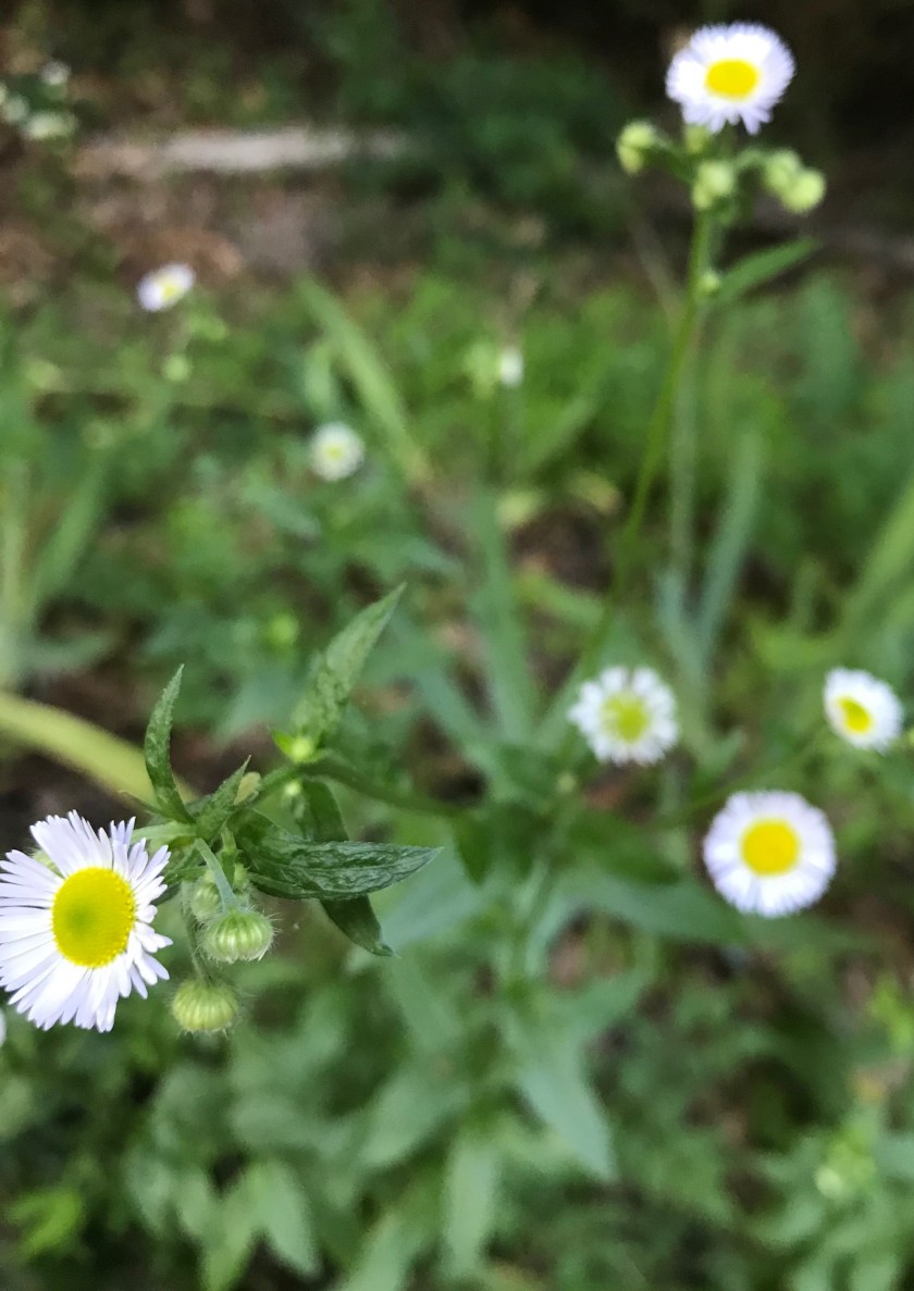 413F2C21-4DDE-46D4-BD86-624B2AAA92F2