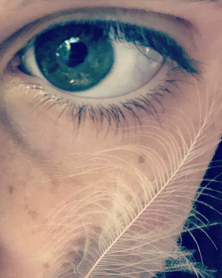 C0321CE6-1EB6-428F-9BC5-78926EE22D81