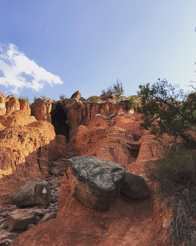 E1E4BCBA-C061-400E-A299-74248D71FBE7