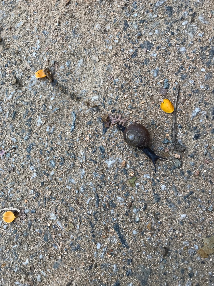 4BBE73C7-8B5A-48EF-A4BB-AD8E6D918C69