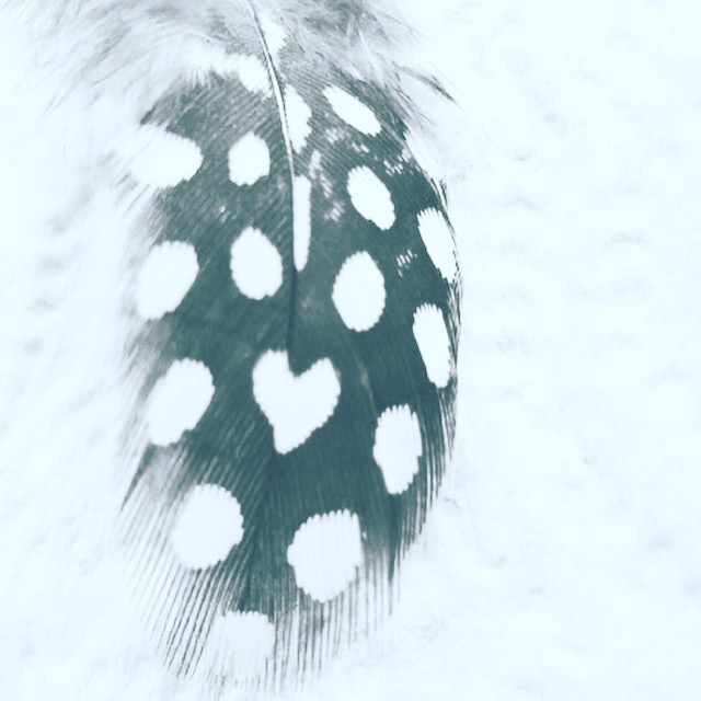 873c8d03-fea5-4901-96d9-0c5ab8e89d0e