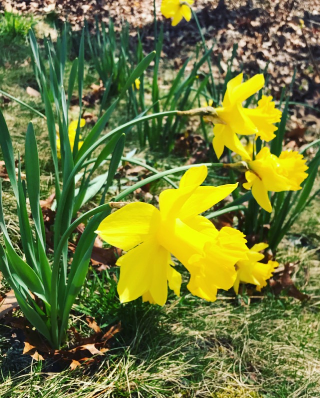 9803BE36-B9BD-40CE-ABC4-CD00769BA93D