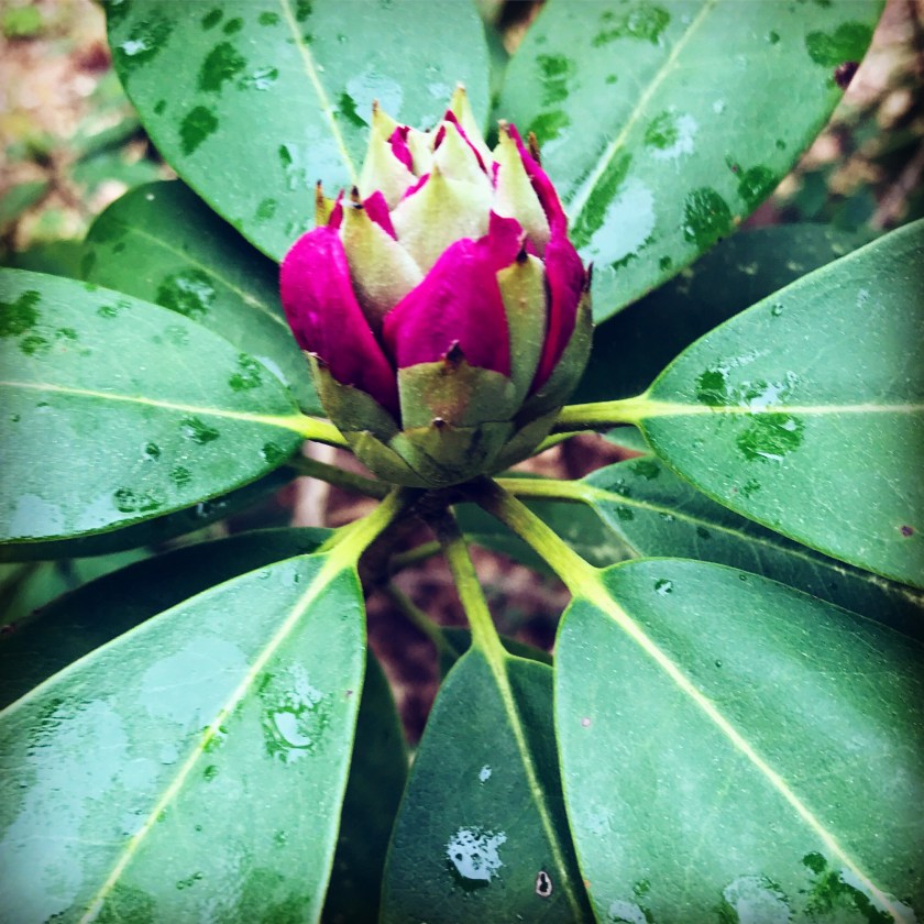 0FF6C2C5-A02B-44FD-81BE-B770D8046AB7