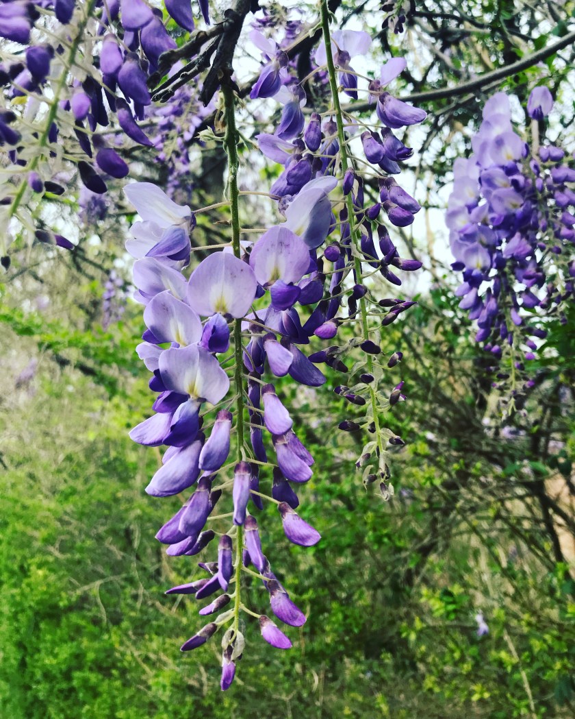 B737BB78-108C-4866-A820-75AE103CC6A3