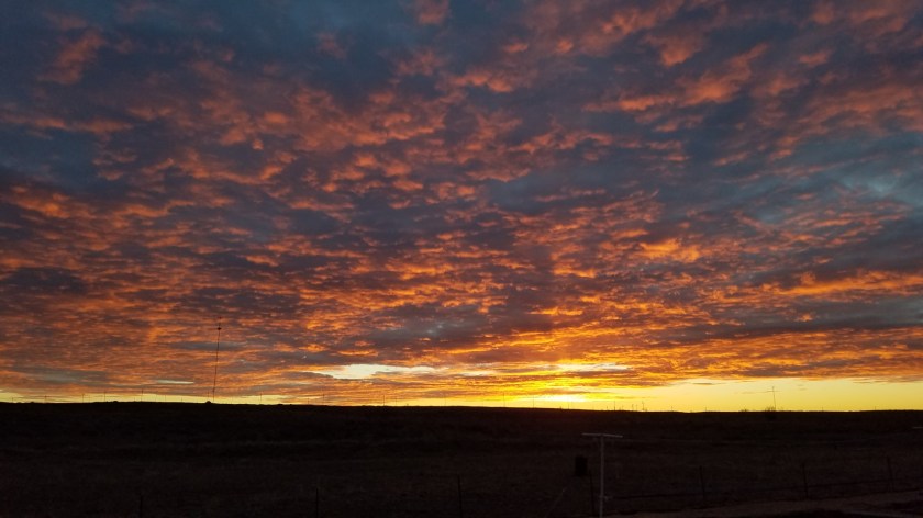 F5C2A6E5-3D0C-4E8C-909F-78041189564D