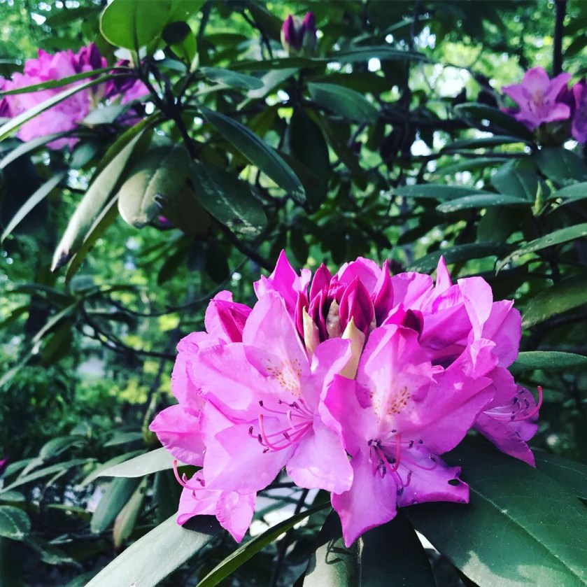 4E309309-FF59-44A6-B4B0-1F333D73276F