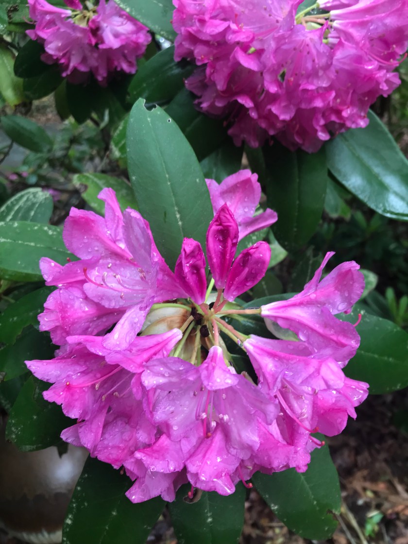 6983C9EA-8D24-488E-B684-33B2BF5B79F2