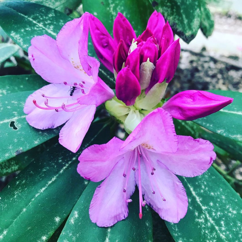 7BC0868C-32F9-4410-B590-7126BD4584FE