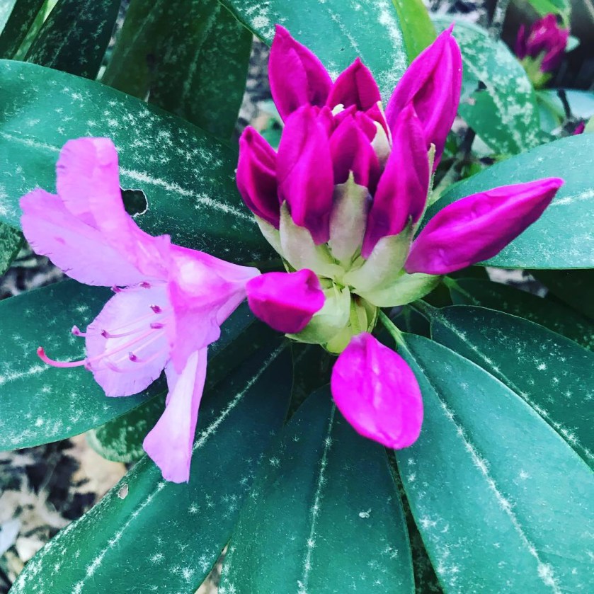 B970E10B-0753-4F8C-8CA8-3868AE7DB3F6