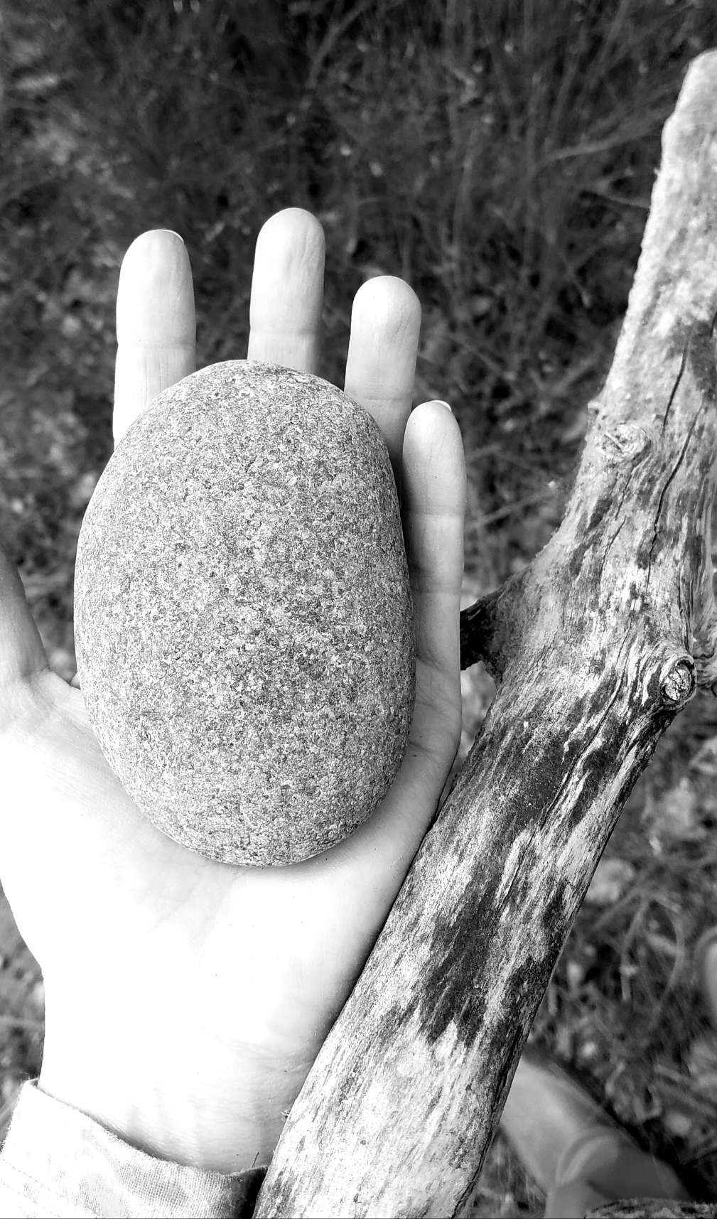 403D18AA-D329-47A6-8DBA-95503E97FCC5