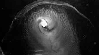 94F75D38-4C6A-4006-AEAC-384F3A78B6D3