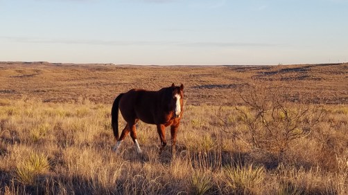 DC6204F5-DB13-45E3-8FA1-0FE47652162C