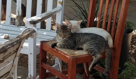 F6AC5E9C-8E21-4FB7-9983-BAD76BD141BD