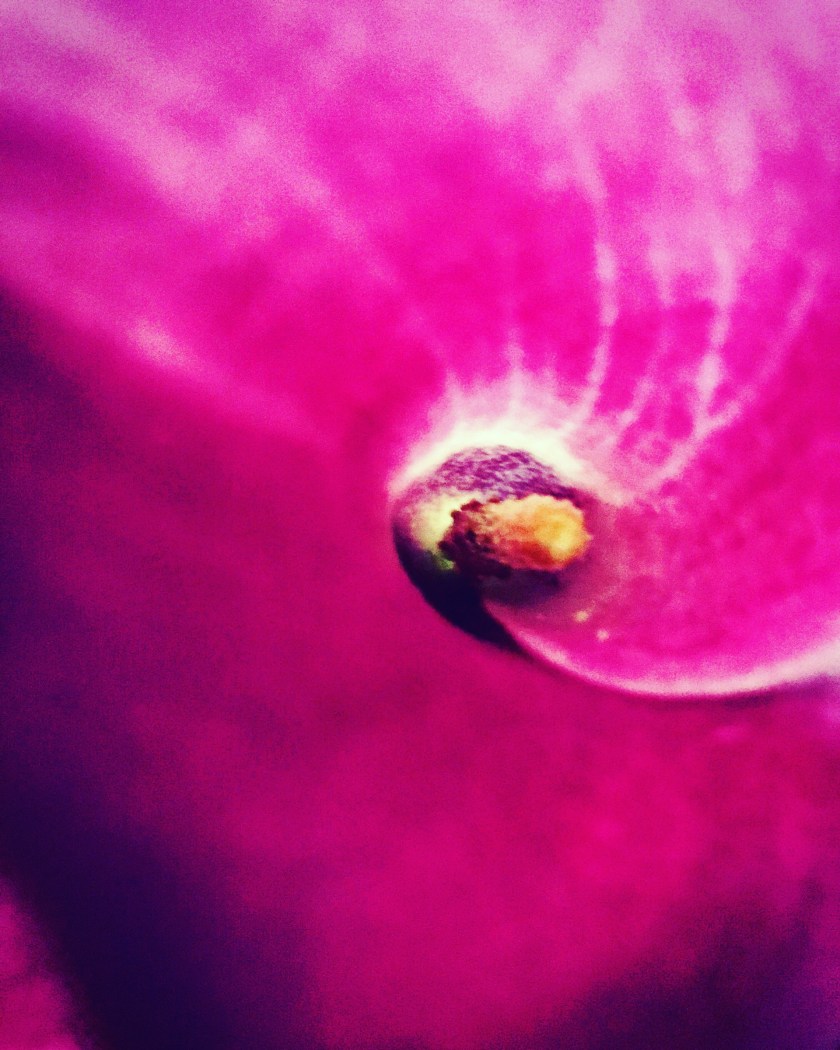 643E9E3F-7B96-467F-BEA3-9F5980086FF1