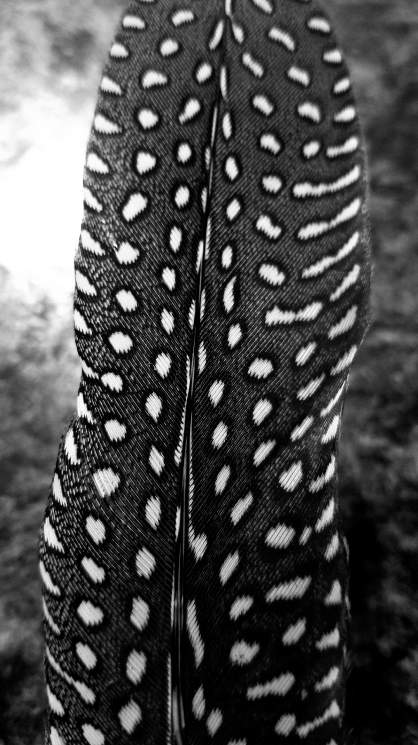 A01CDCA8-A602-4BF4-A309-41275337A5AE