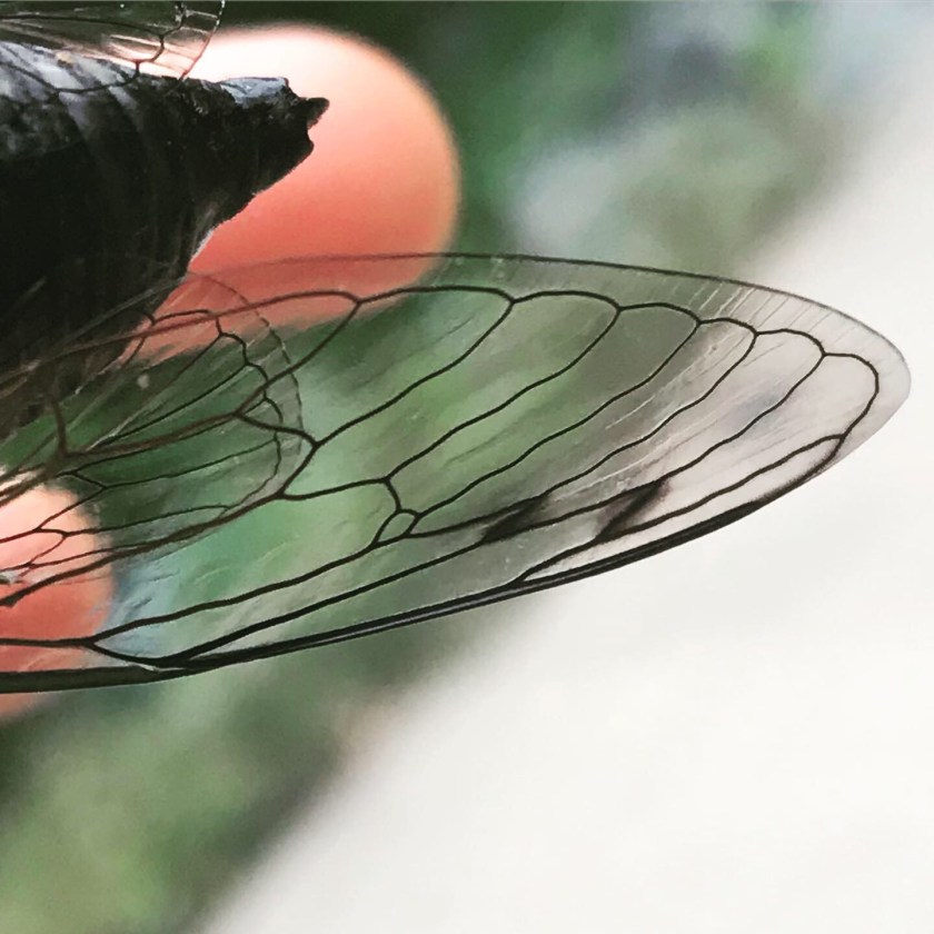 59B4706B-C088-4064-8858-B51CFD6B82F8