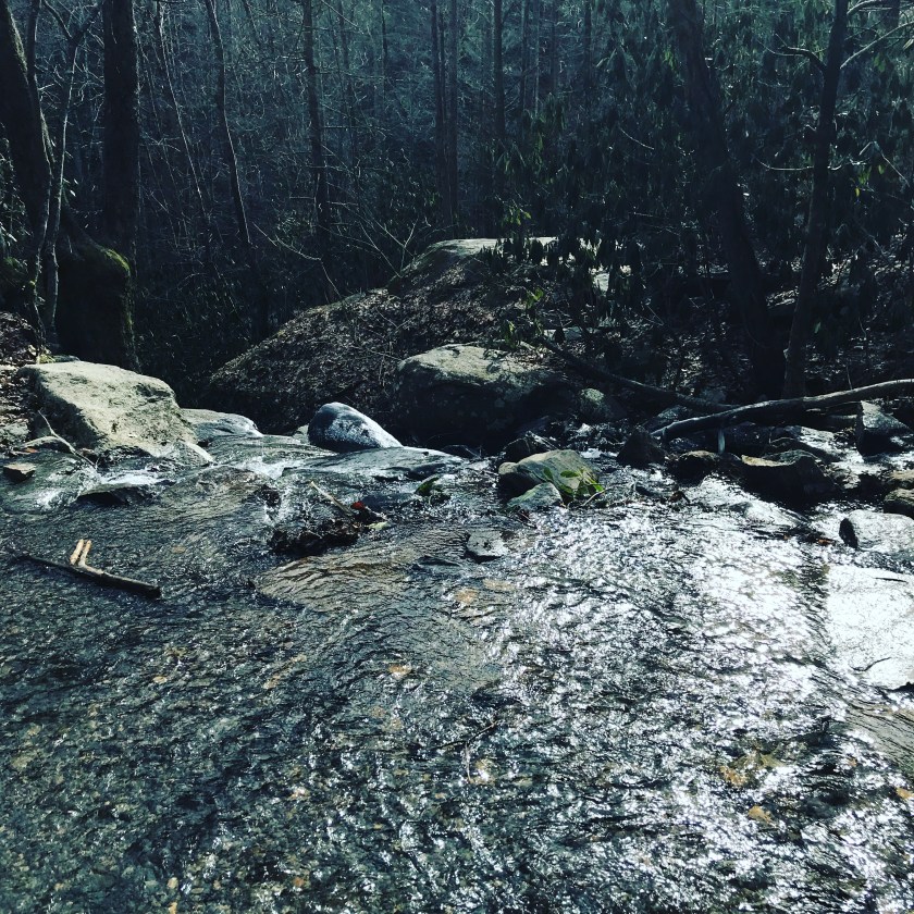 B344281D-3208-4D0A-AD82-B7B59163820C