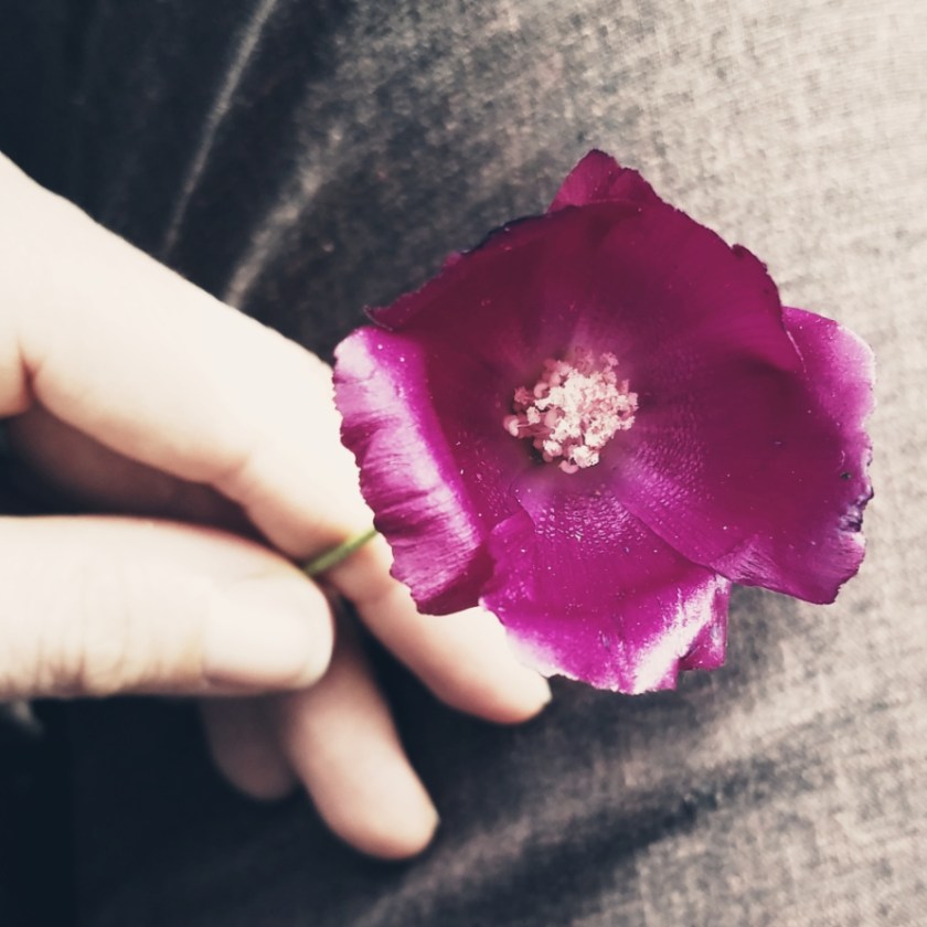 5D132442-DE7A-4B47-852E-0A33A9FB62D3