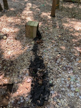 FD8D90BF-9246-4EE8-97EB-98DF0F04312A