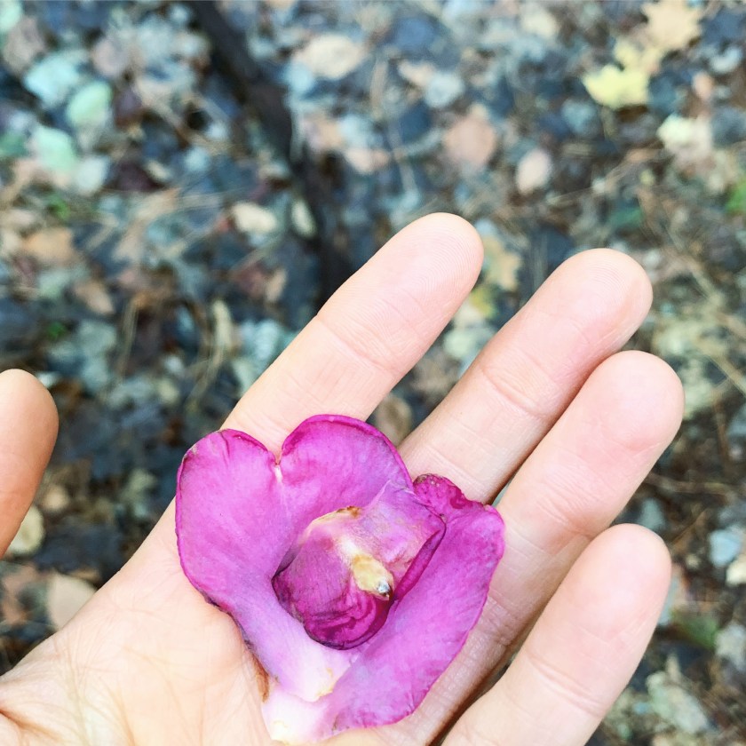 03871562-8C38-4607-B080-64288259C167