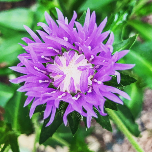 B3717C96-AB34-46B7-8819-551EBC2B27DB