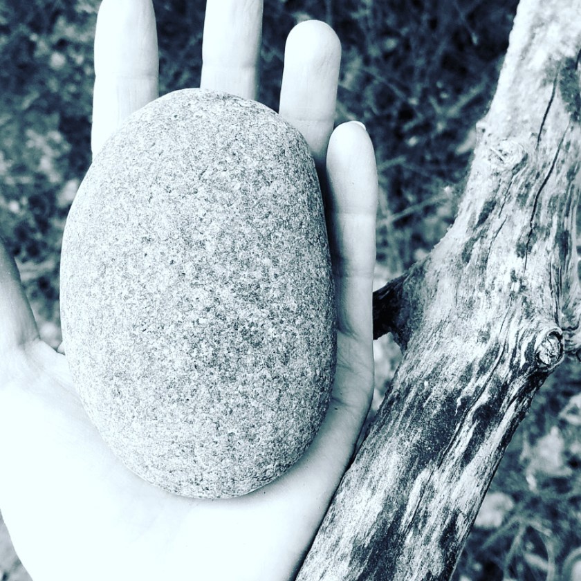 77543462-6130-4C70-83C1-DEC542095B01