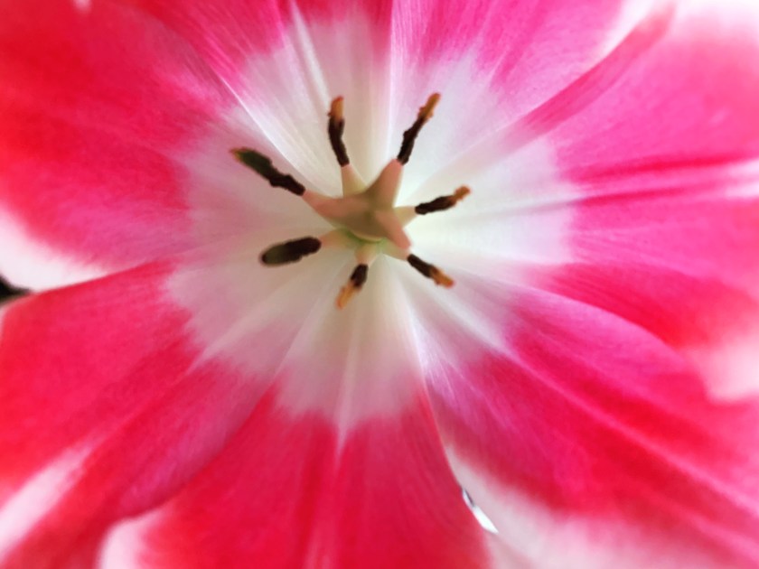 172F22DC-B5F0-4D7C-A0B7-006EBAA79140