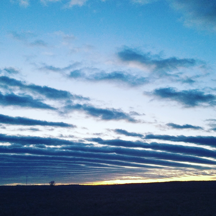 5650D59C-5C06-4048-98B1-2730E356D8D2