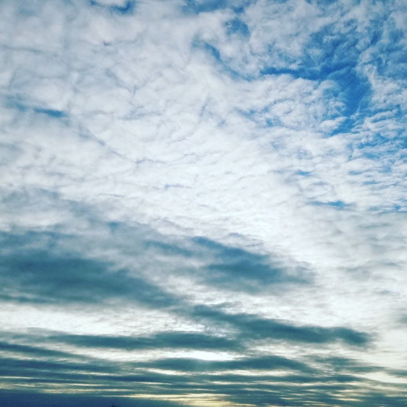 58D0B737-55EF-4D2F-9C72-BF470E4A42EE