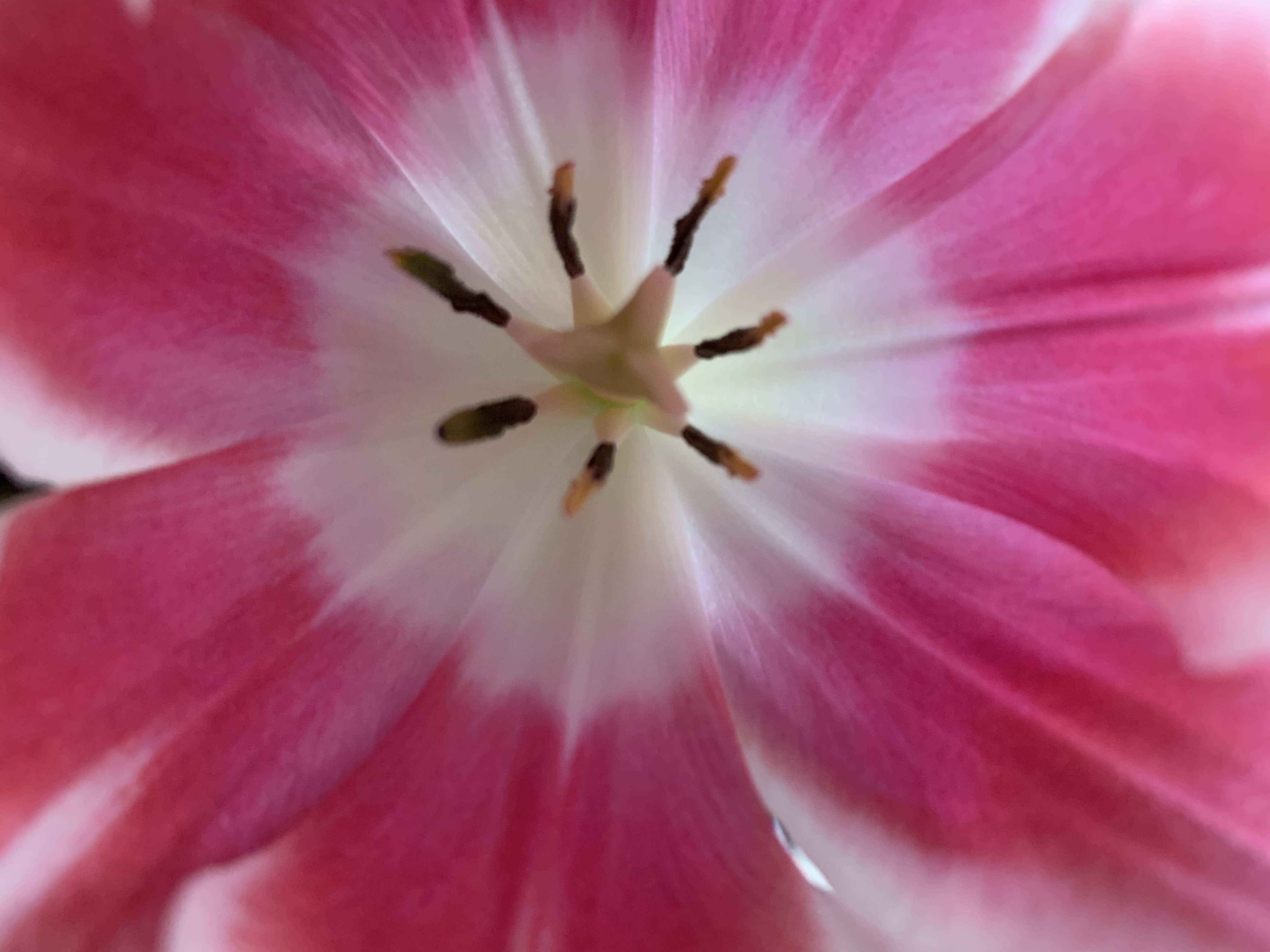 5D1A7425-4D55-4E40-87D9-7ABF6A33BF63