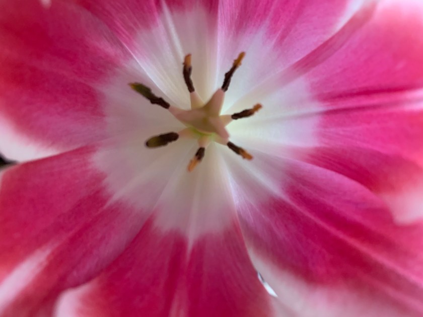 5D1A7425-4D55-4E40-87D9-7ABF6A33BF63