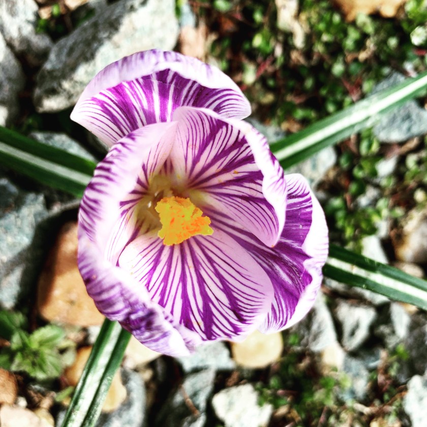 90FCA495-FFB8-469A-85B5-AF234FC4946A