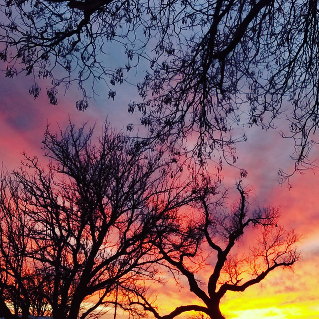 ADB3D9F8-B807-4E5E-BB07-B638E5BC10BB