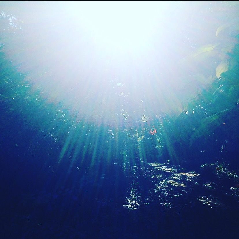 202E5C07-B343-47E0-87F1-9C479FF31EC2