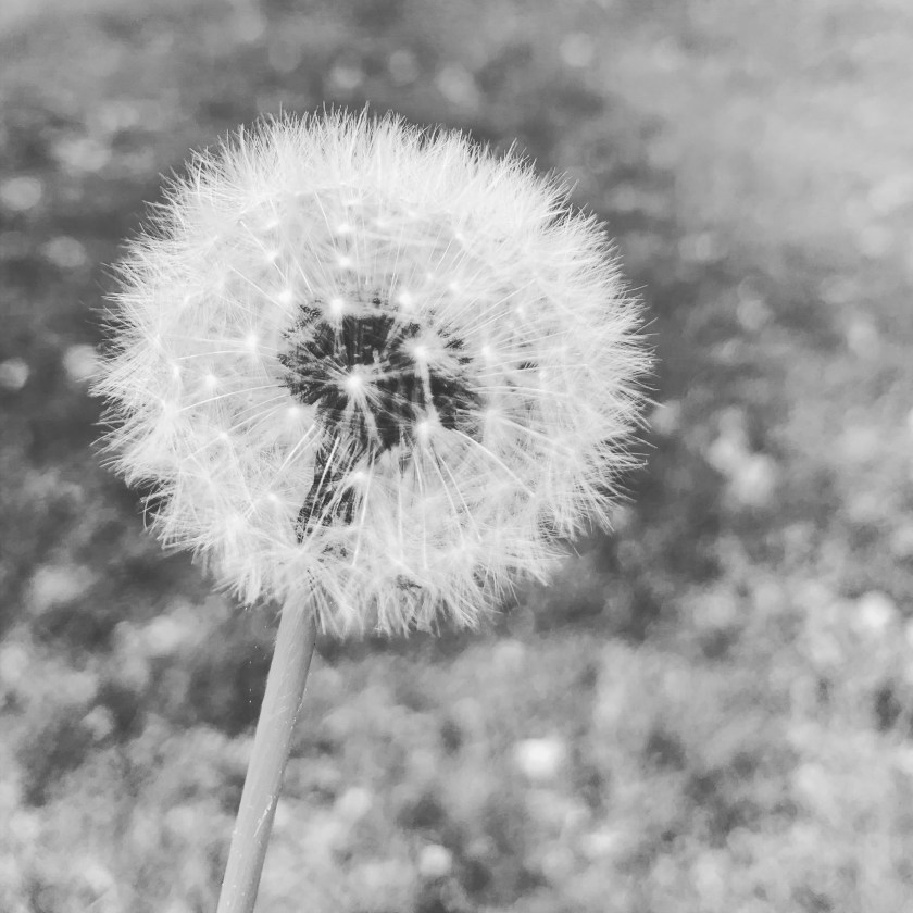 DA2A7BDC-D09D-4327-B555-5C5C60B71726