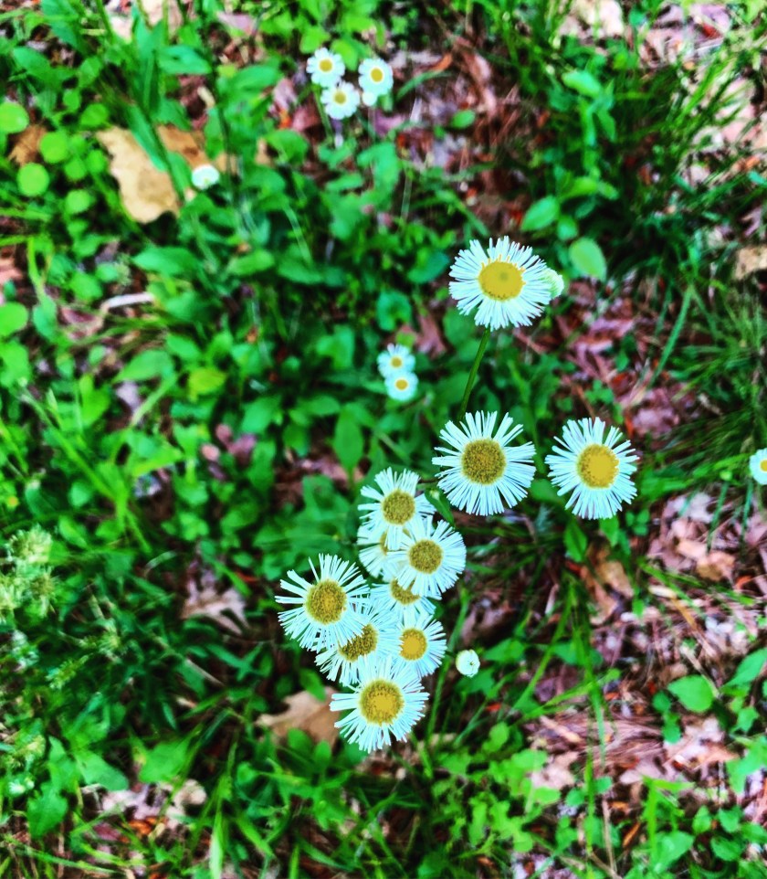 128D3354-F361-40FE-A732-FAE29A5C8E3A