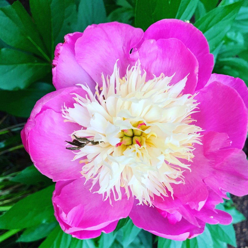 7D87D1DA-7356-4C40-913B-F06FDABABE14