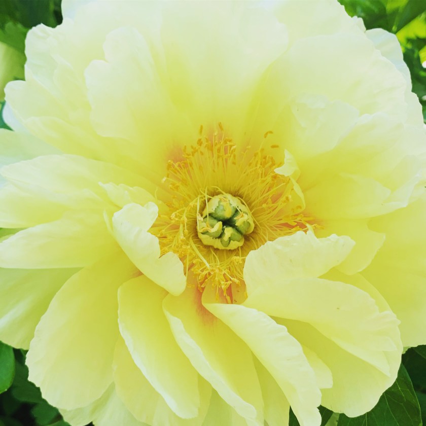 CFE91BB9-0237-4847-B6ED-831217F6AD1A