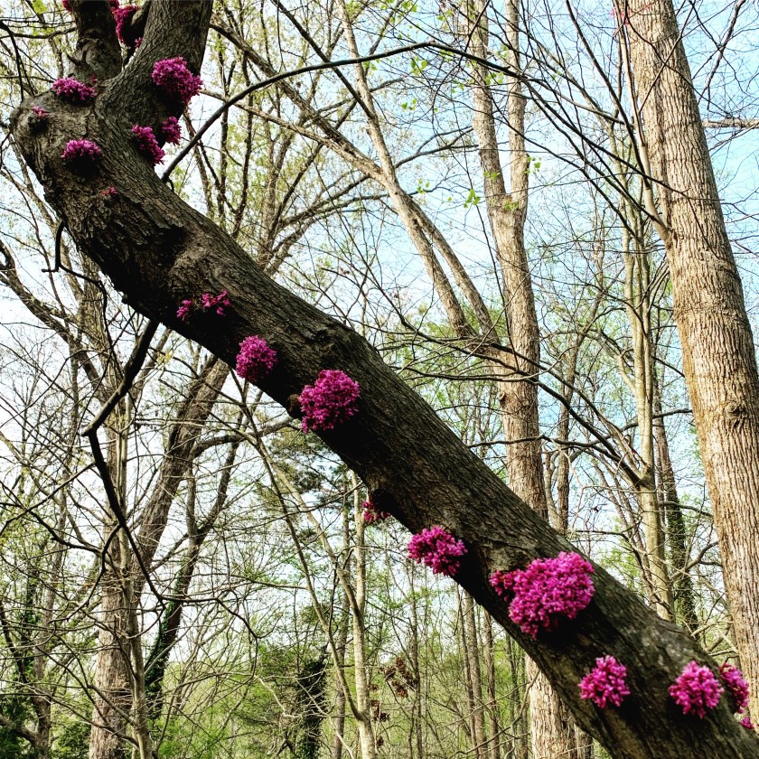 D94CA349-BBDD-4038-B78D-4504F6E87C0B