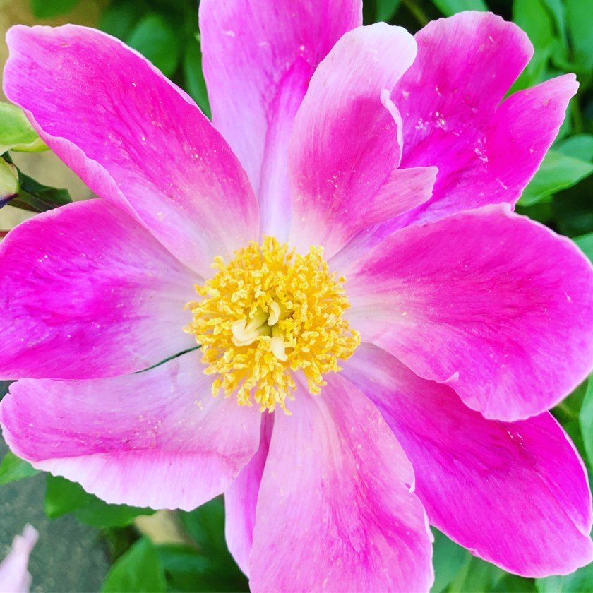 EE09AD2D-936E-46D7-882C-BFBC5AF52C61