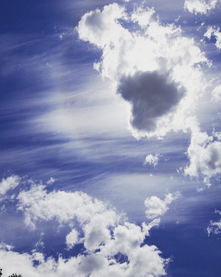 3652BFE7-EB8E-4990-A536-49E4B787B208