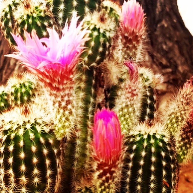 6F9CEB2F-D2CF-44A0-8B7C-7E6E2071E933