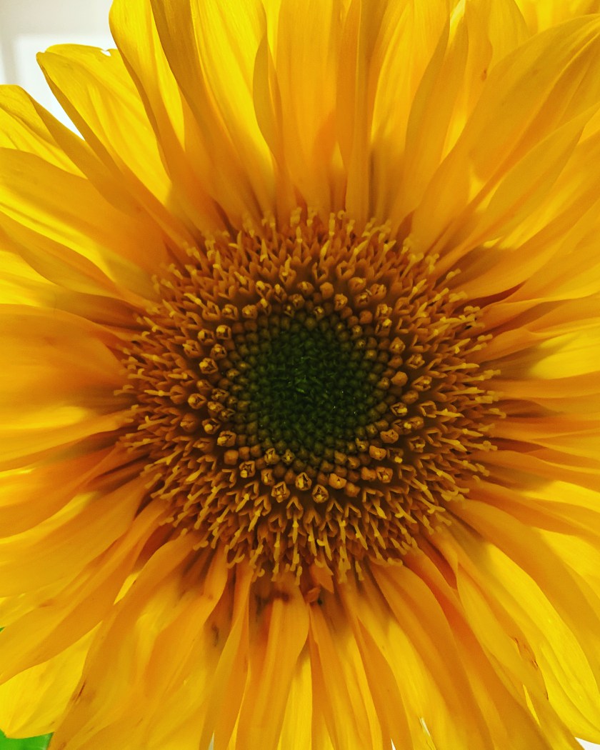 7CB74D0A-9CC4-4310-8898-1EEE09C2B9F9