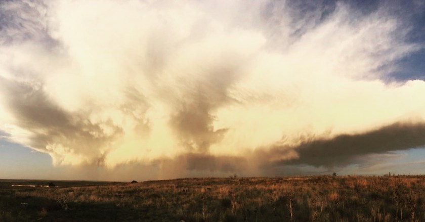 81C9B411-1DEB-4360-8DDB-F96F8601BB48