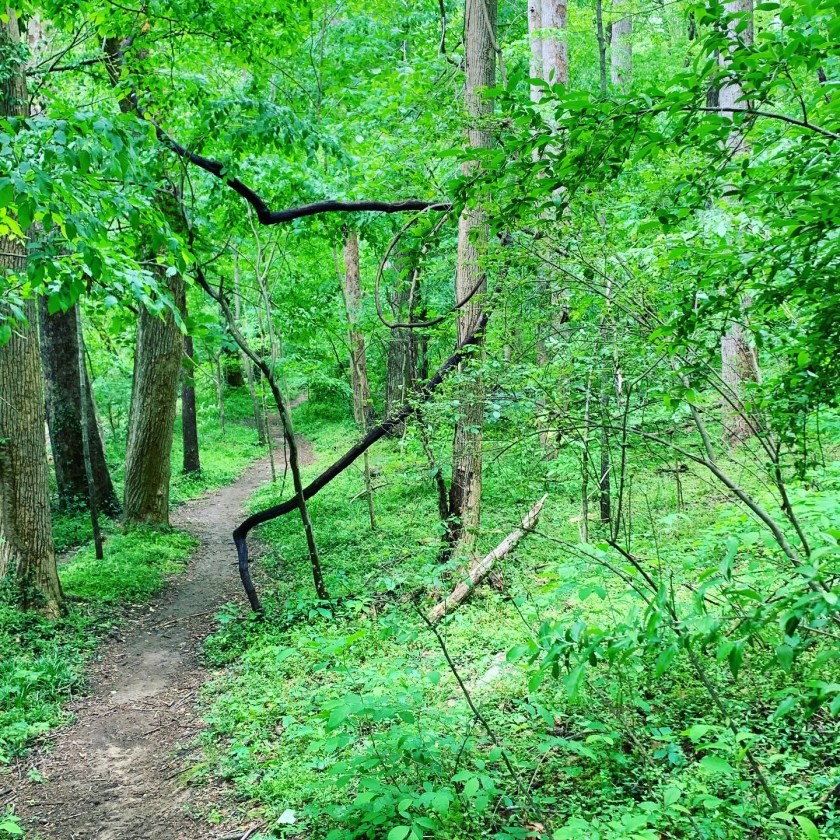 8FF75CBF-8F69-4A5D-85D5-E5EBC3085970