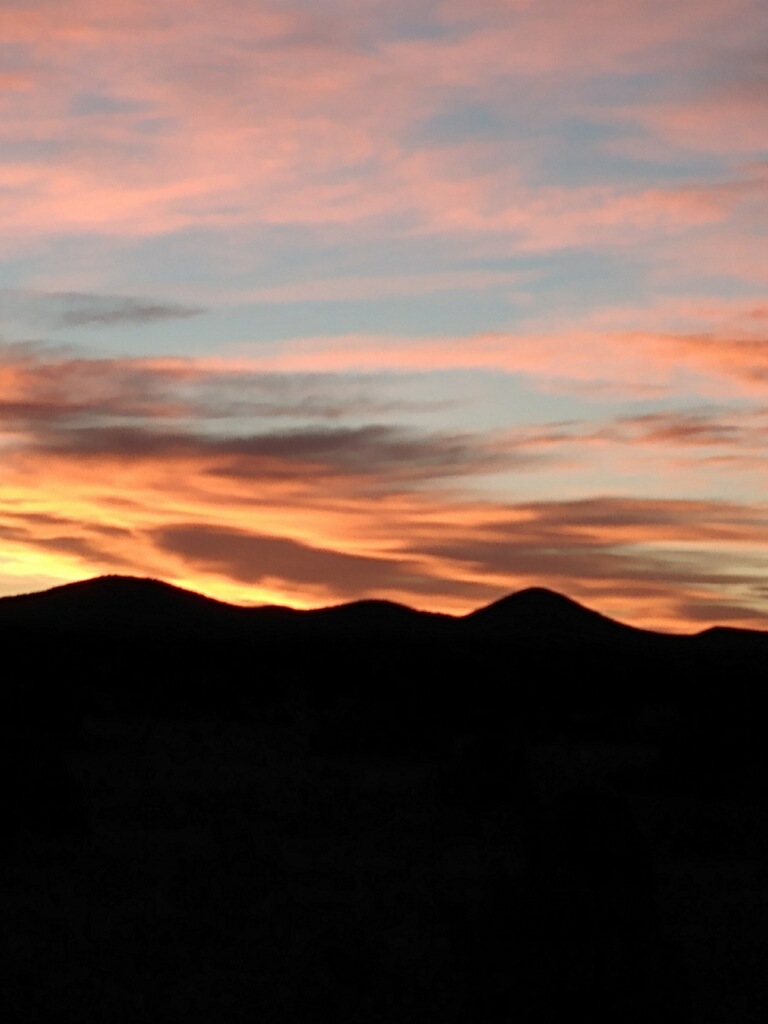 B3B7D551-0313-4572-9032-FEB3790DF2AC